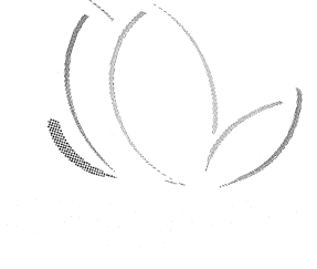 Émergence coaching thérapie